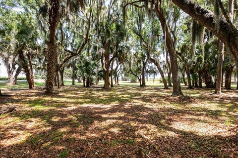 Tiny photo for Tbd Deer Island Road, Tavares, FL 32778 (MLS # G5111268)