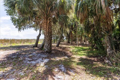 Tiny photo for Tbd Deer Island Road, Tavares, FL 32778 (MLS # G5111268)