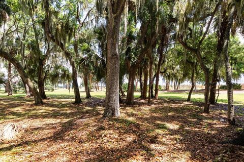 Tiny photo for Tbd Deer Island Road, Tavares, FL 32778 (MLS # G5111268)