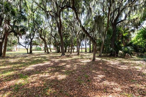 Tiny photo for Tbd Deer Island Road, Tavares, FL 32778 (MLS # G5111268)