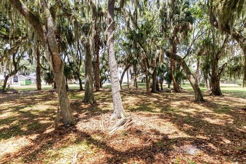 Tiny photo for Tbd Deer Island Road, Tavares, FL 32778 (MLS # G5111268)