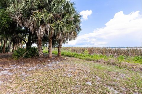 Tiny photo for Tbd Deer Island Road, Tavares, FL 32778 (MLS # G5111268)