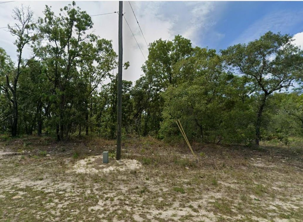 Photo of 1418 W Hampshire Boulevard, Citrus Springs, FL 34434 (MLS # OM730121)