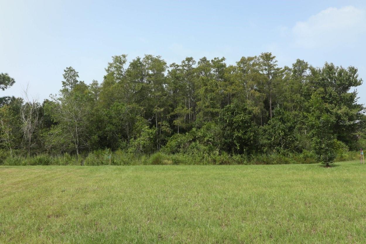 STEPPING STONE - Residential