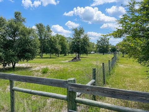 Tiny photo for Tbd, Dunnellon, FL 34432 (MLS # OM726505)