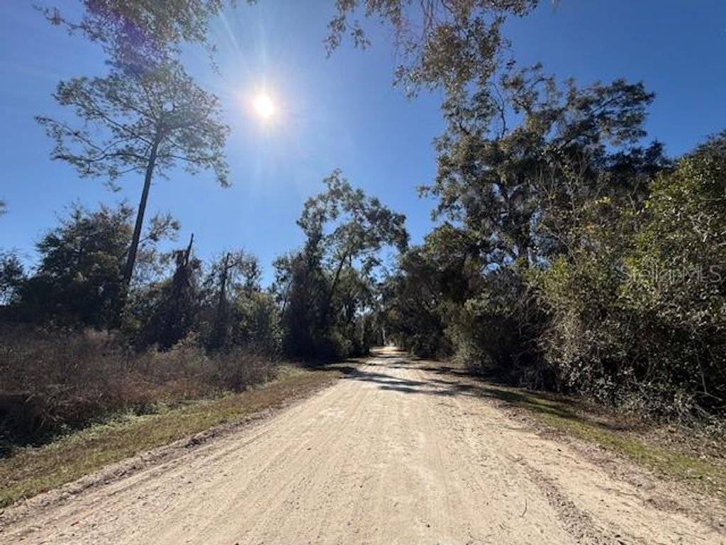 Photo of NE Seventeenth Avenue, Trenton, FL 32693 (MLS # S5144815)