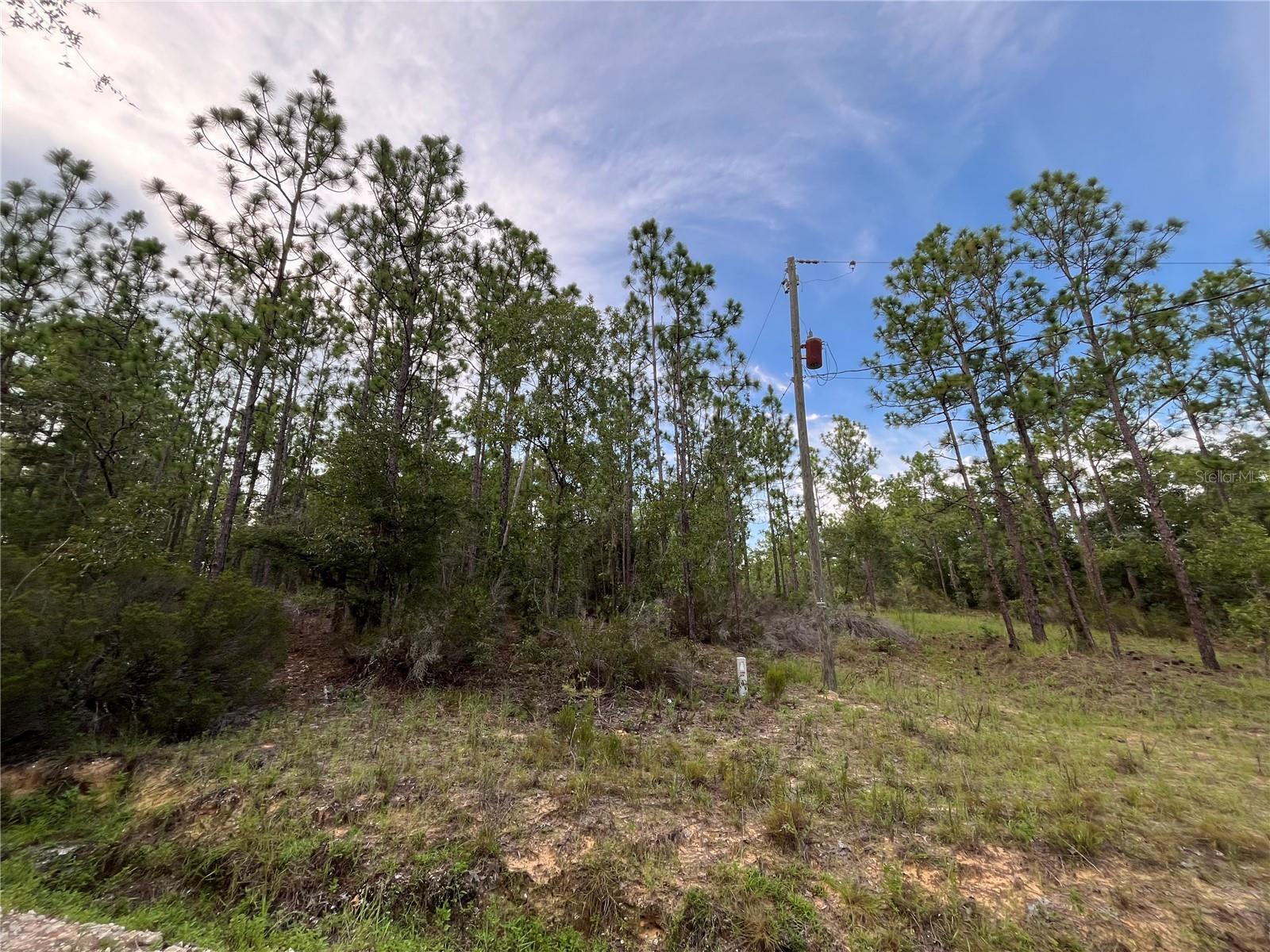 Owner Financing Available. Don't Miss out on this High and dry 0.46 acre corner lot. Looking to purchase your dream property in Florida, look no further. This lot is listed below market value! Buying Land in Florida is a solid investment for your future, build your dream home, vacation home, rental investment or let the land build value as a great long-term investment to resell for a future profit.