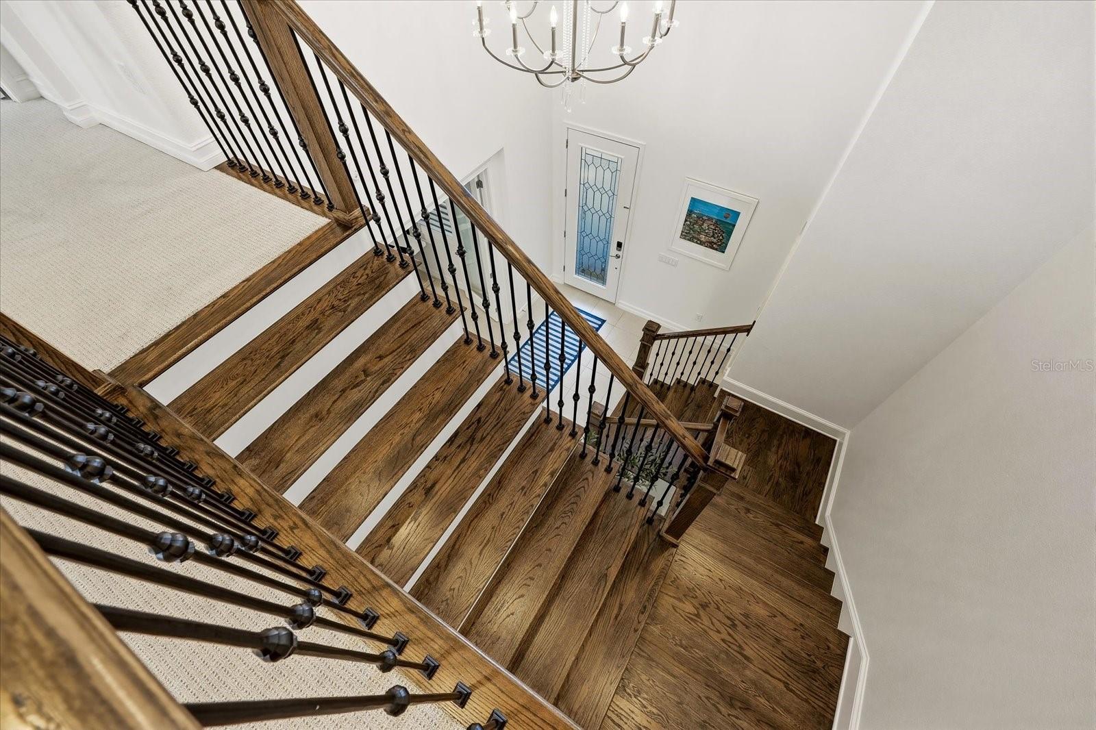 ARBOR GRANDE - Residential