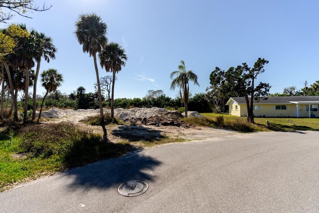 Photo of 360 S Orchid Drive, Ellenton, FL 34222 (MLS # A4683651)