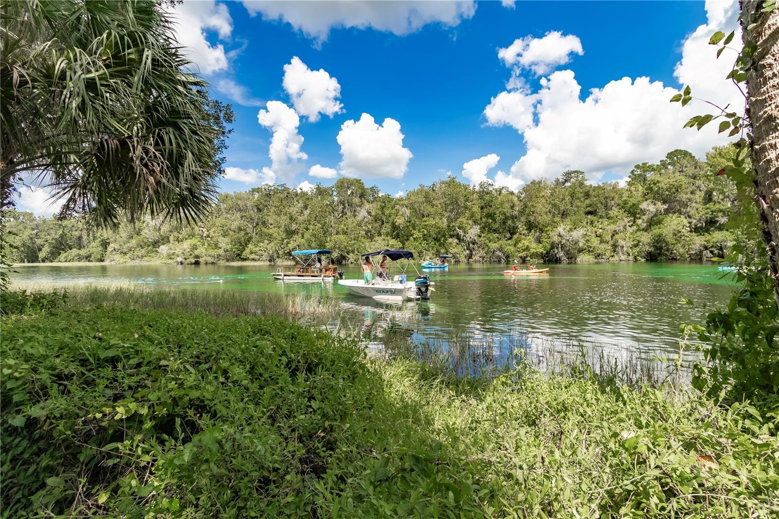 RAINBOW SPGS 05 REP - Residential