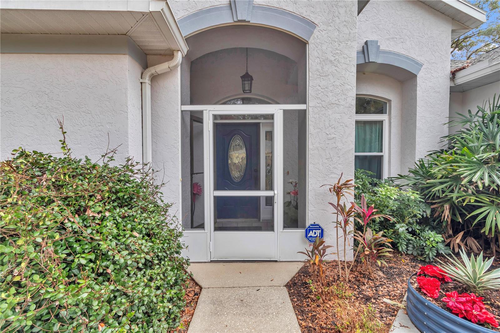 RAINBOW SPGS 05 REP - Residential