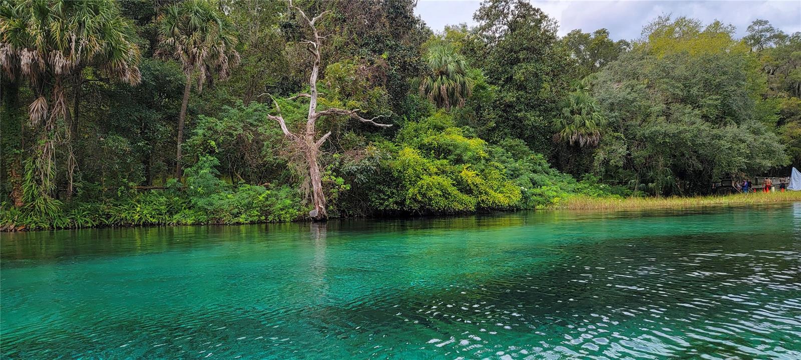 RAINBOW SPGS 05 REP - Residential