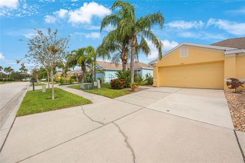 A home in RIVERVIEW