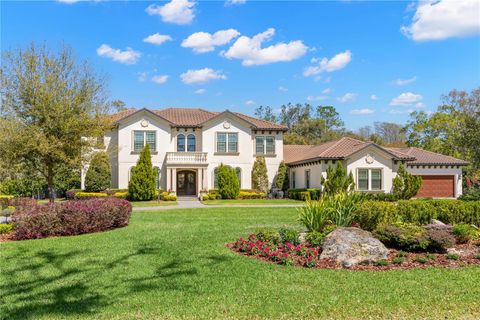 16119 CARENCIA LANE ODESSA FL 33556
