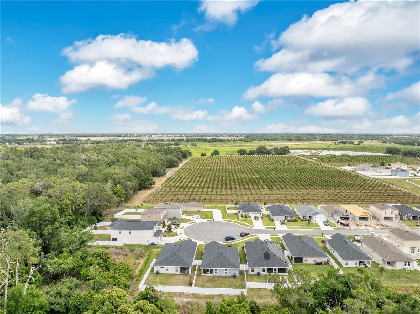 EAGLE HAMMOCK - Residential