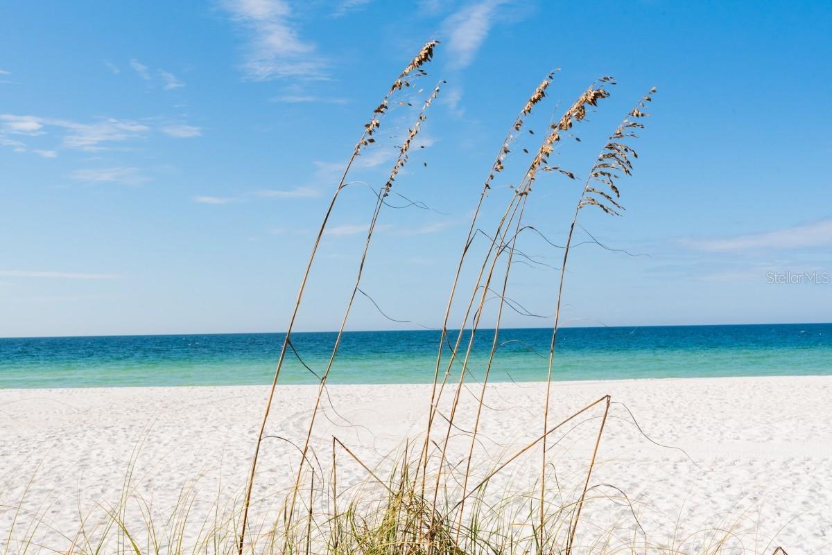 SUNSET TERRACE - Residential