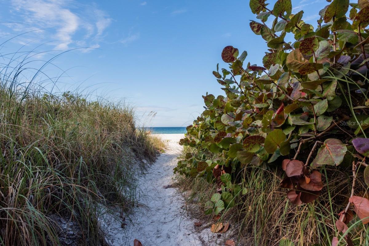 SUNSET TERRACE - Residential