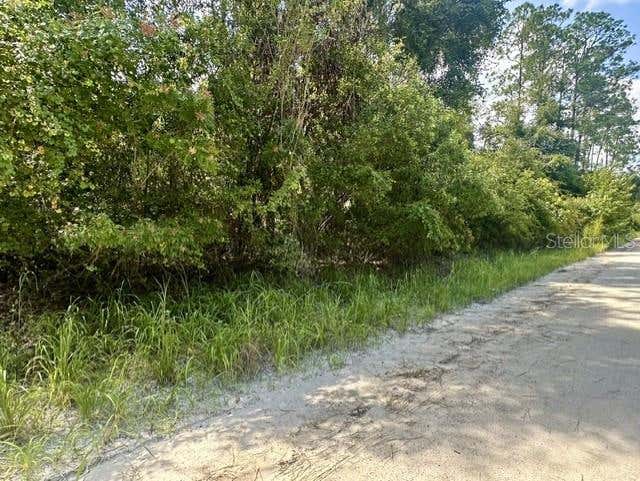 Photo of NE 796th Street, Old Town, FL 32680 (MLS # GC542995)