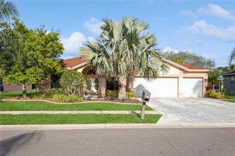 A home in PALM HARBOR