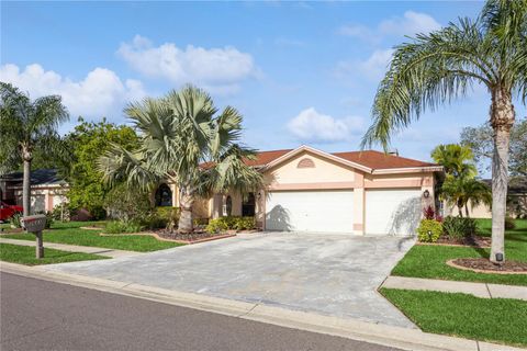 A home in PALM HARBOR