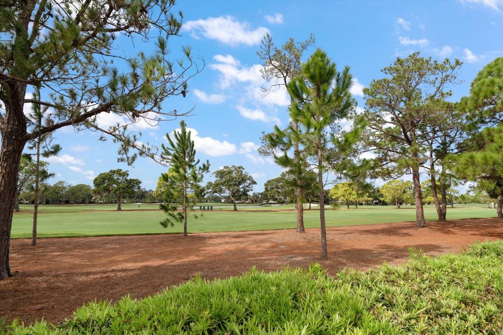 PELICAN PLACE NORTH - Residential