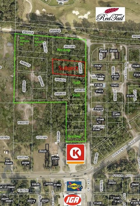 31635 NILES STREET MOUNT PLYMOUTH FL 32776