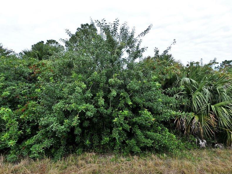 PORT CHARLOTTE SUB 47 - Land