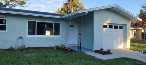 10095 NASSAU COURT SEMINOLE FL 33776