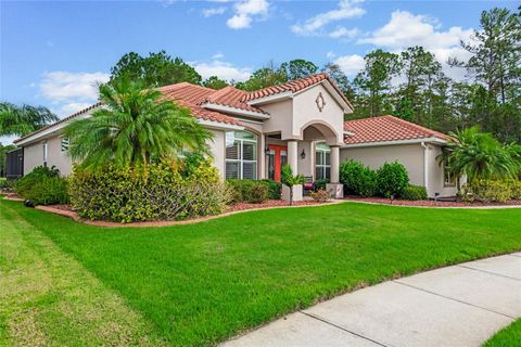 A home in NEW SMYRNA BEACH