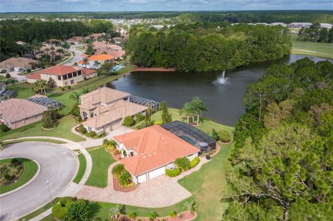 A home in NEW SMYRNA BEACH