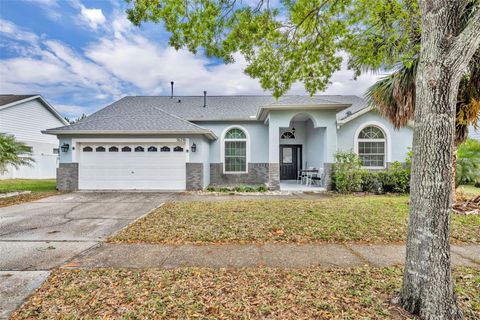 16216 MAGNOLIA HILL STREET CLERMONT FL 34714