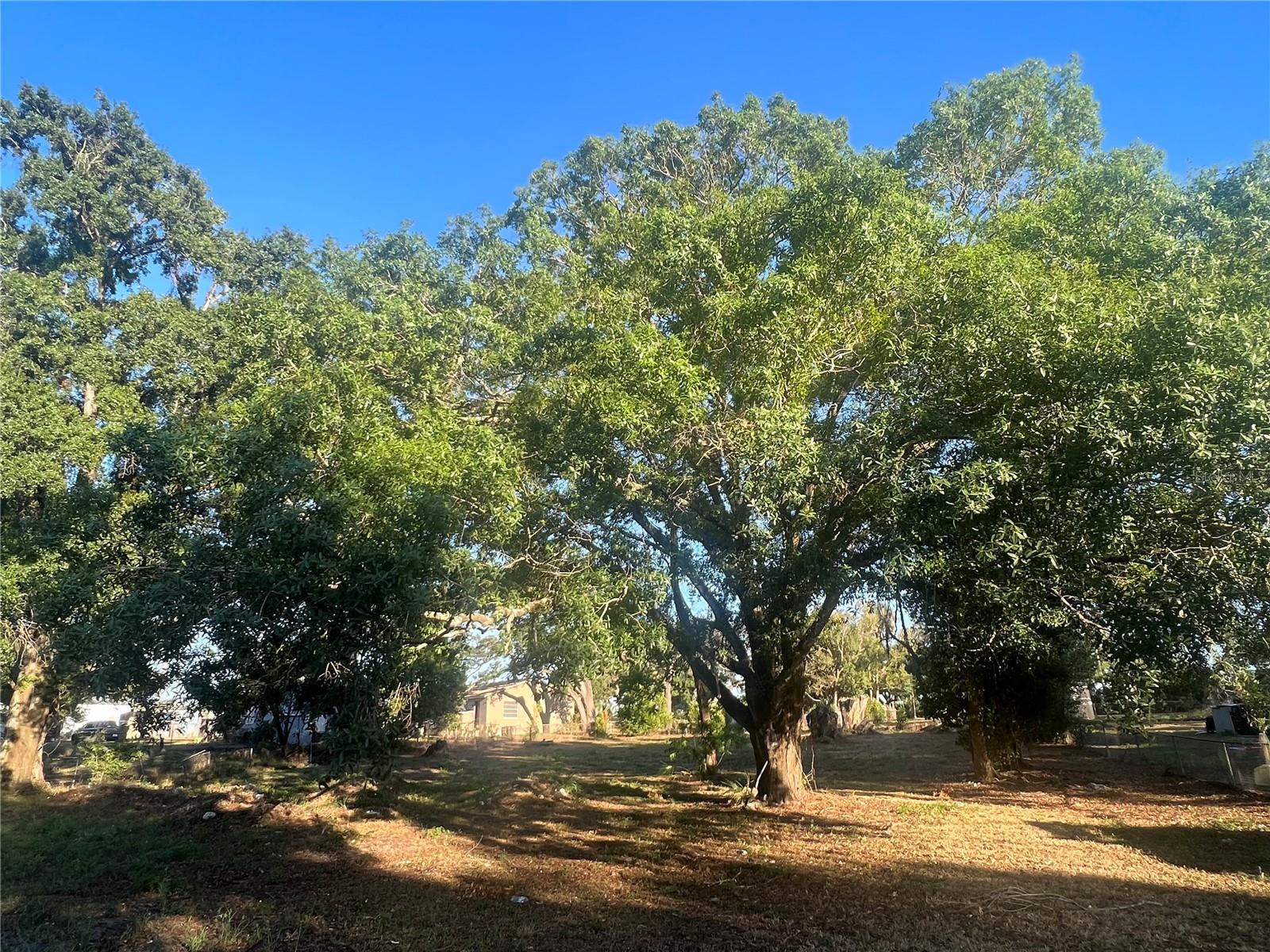 Photo 5 of 11 of 4619 E LAKE AVENUE land