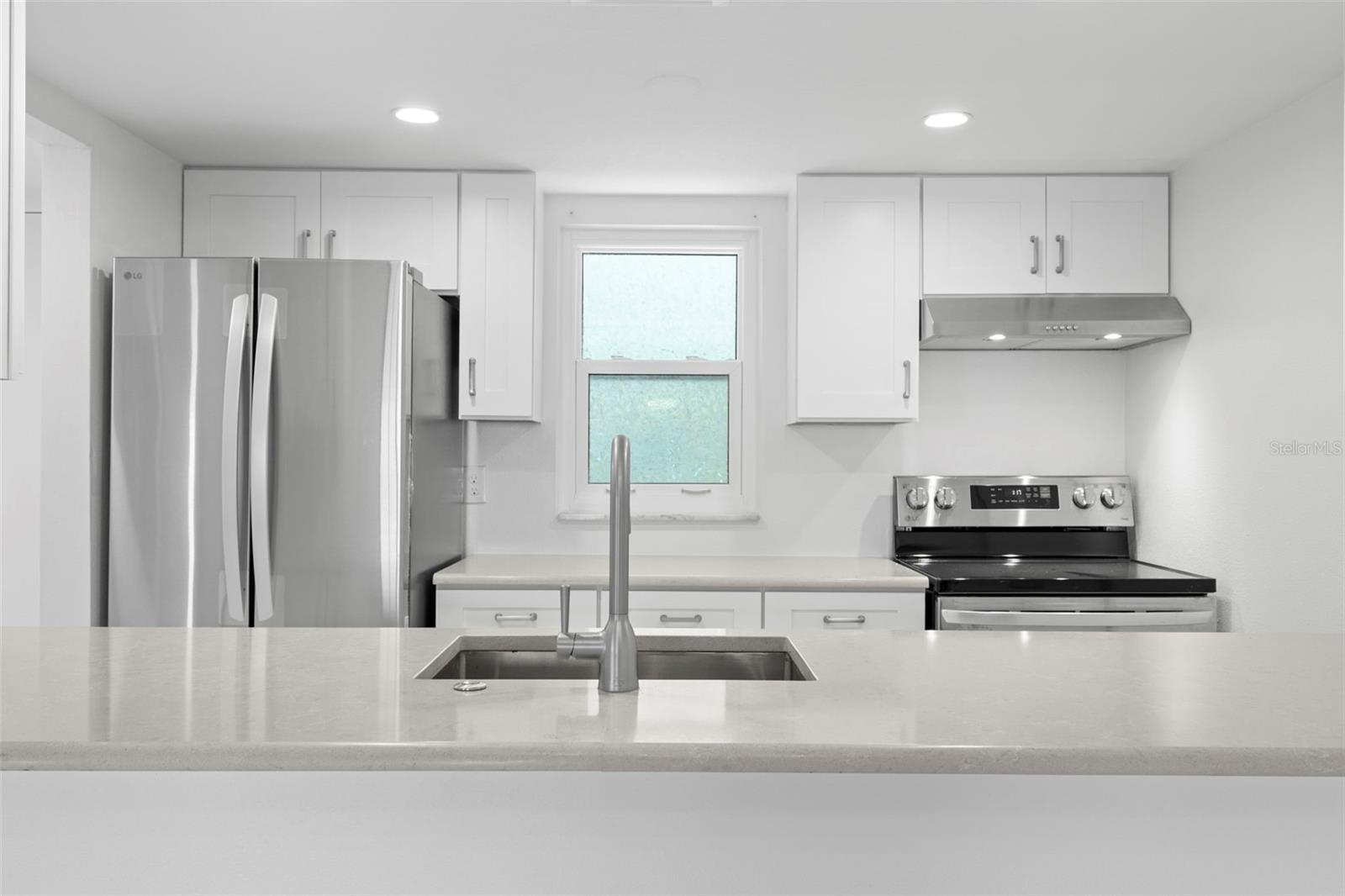 DOLPHIN POINTE OF DUNEDIN CONDO - Residential