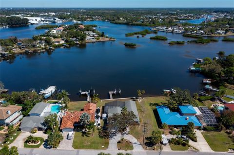 A home in TARPON SPRINGS