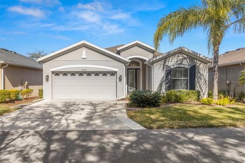 29149 COCHITI LAKE DRIVE SAN ANTONIO FL 33576