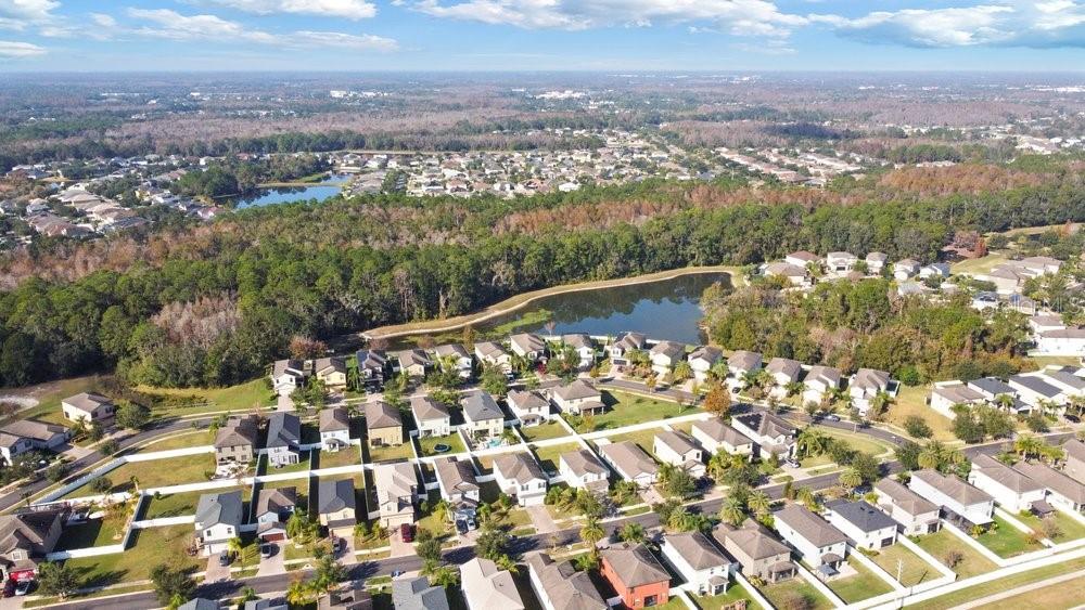 LIVE OAK PRESERVE 2C VILLAGES - Residential