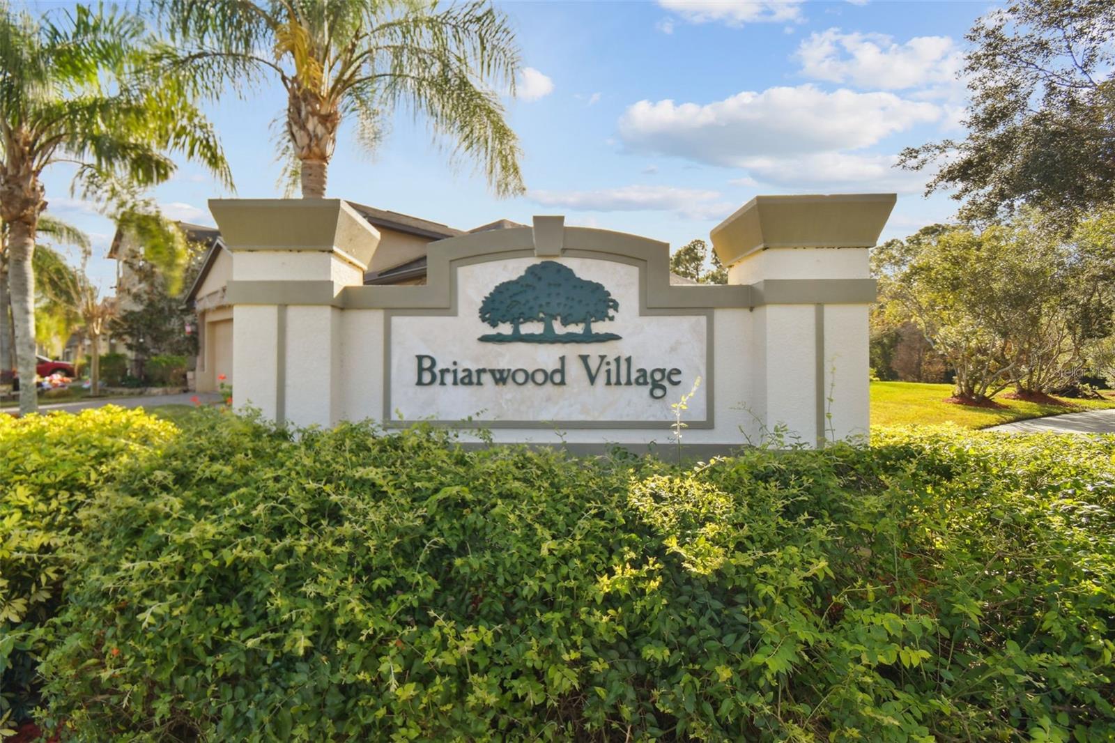 LIVE OAK PRESERVE 2C VILLAGES - Residential