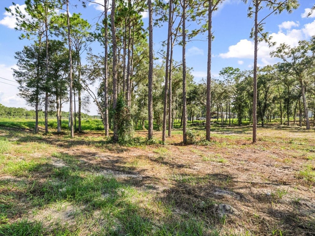 Photo of 15504 Lenway Road, Spring Hill, FL 34610 (MLS # W7889840)