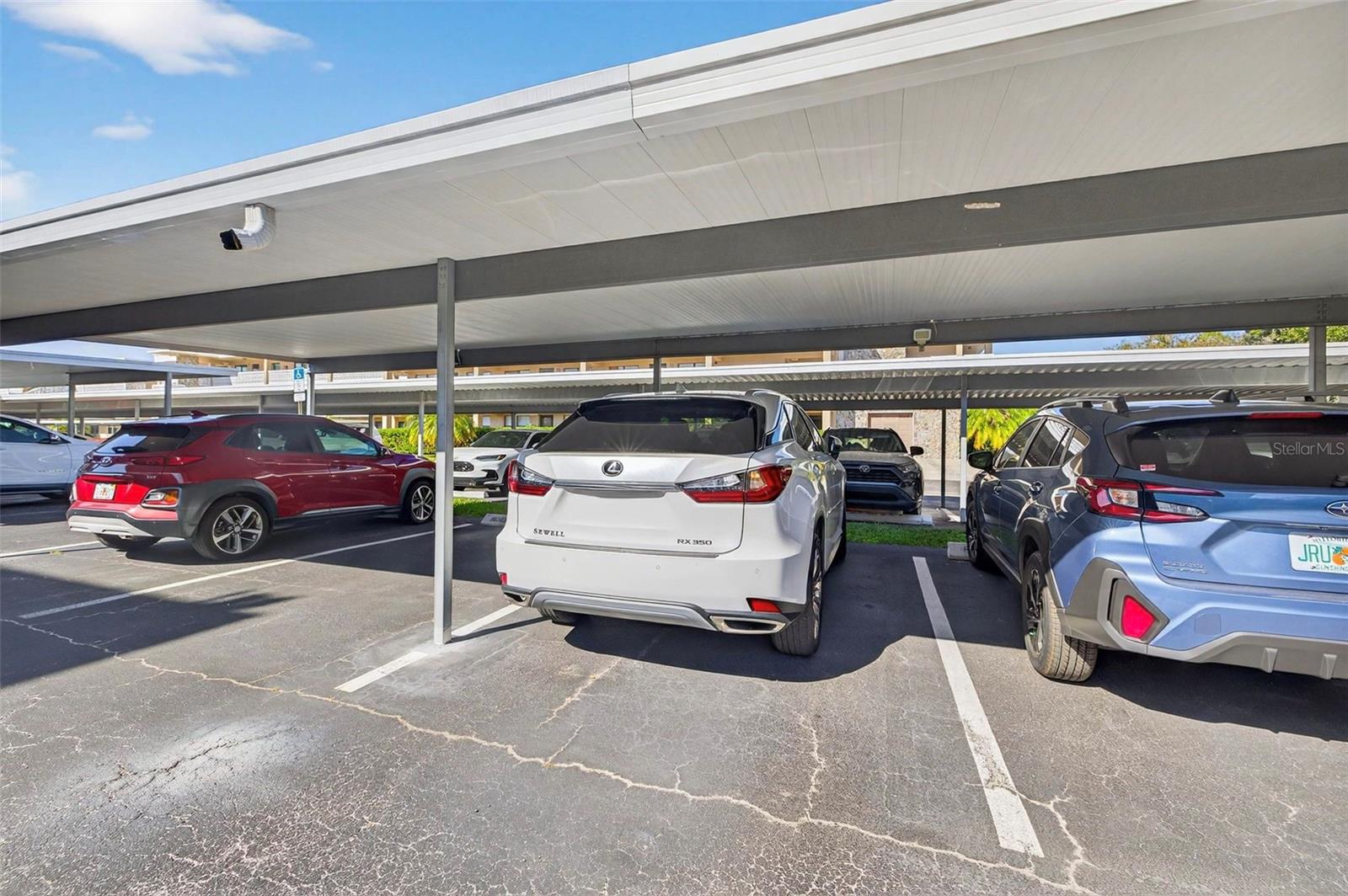 WINSTON PARK NORTHEAST - Residential