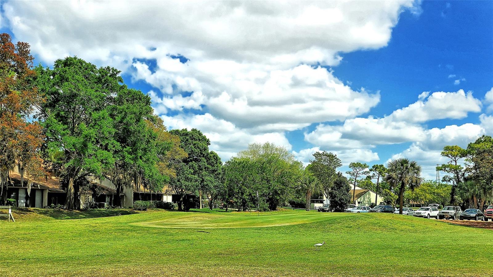 BIRD BAY VILLAGE - Residential Lease