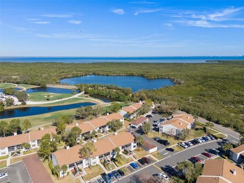 A home in CLEARWATER