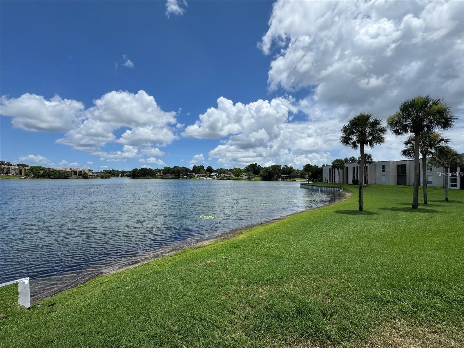 ROYAL ARMS CONDO - Residential Lease