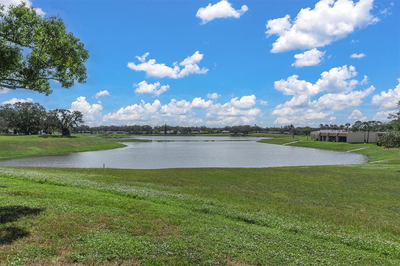 DOLLAR LAKE VILLAGE CONDO 01 - Residential