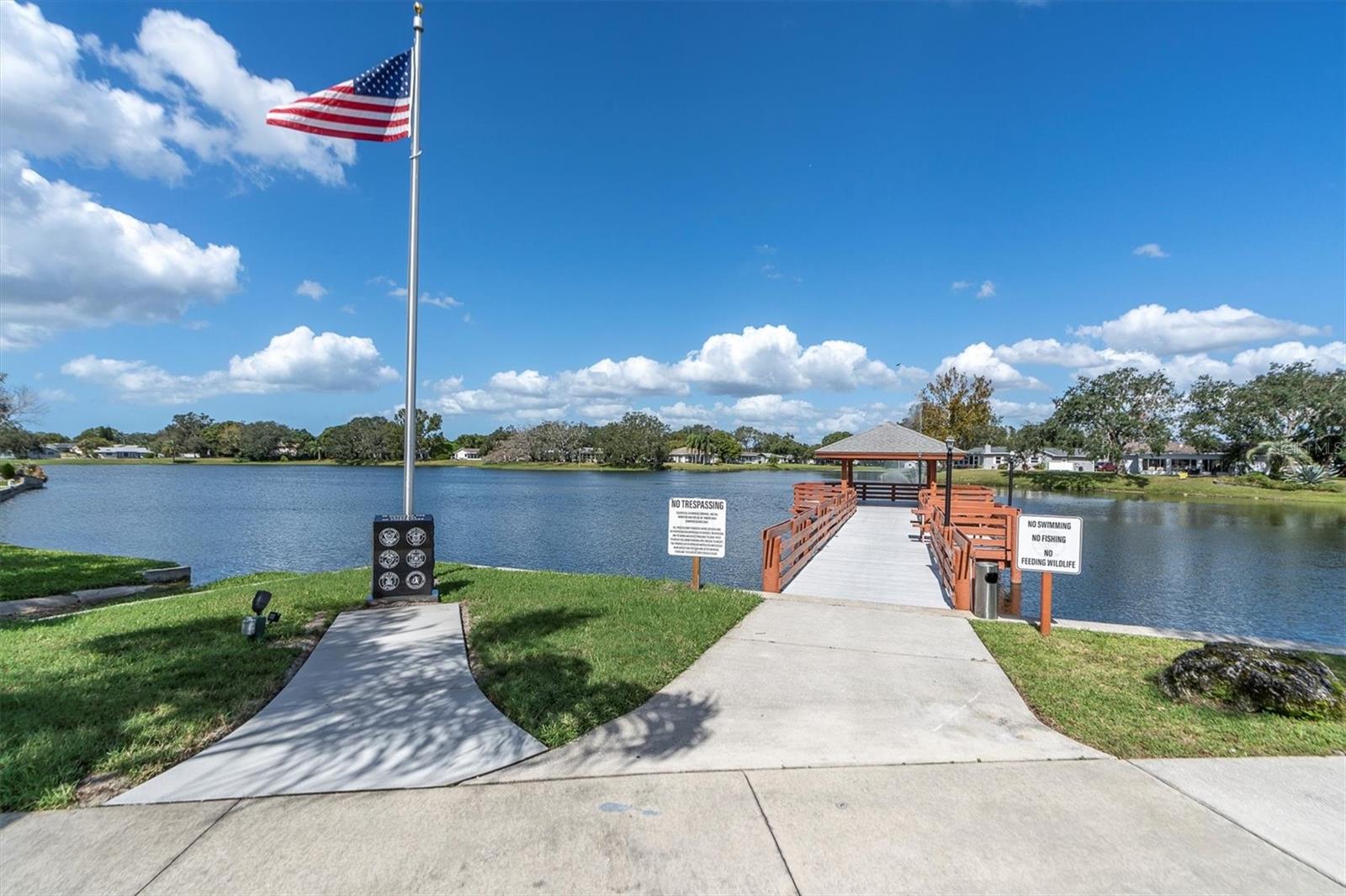 DOLLAR LAKE VILLAGE CONDO 01 - Residential