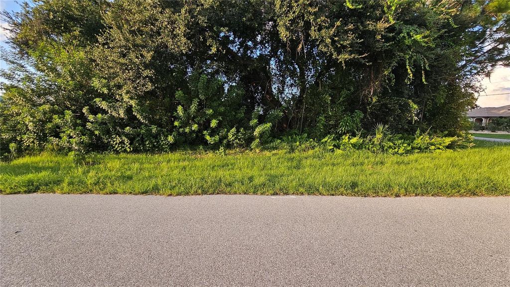 Photo of 133 Valdiva Street, Punta Gorda, FL 33983 (MLS # C7517442)