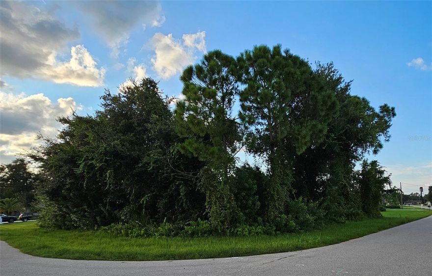 This oversized corner lot is located in the sought after community of Deep Creek.  Great location for yur FL dream home with public water and sewer available.  Conveniently located to downtown Punta Gorda, PGD airprt, restaurants, shopping, I 75 and pristine gulf beaches.  This property is only 1/2 mile from Deep Creek Gulf Club.  NO FLOOD ZONE!!