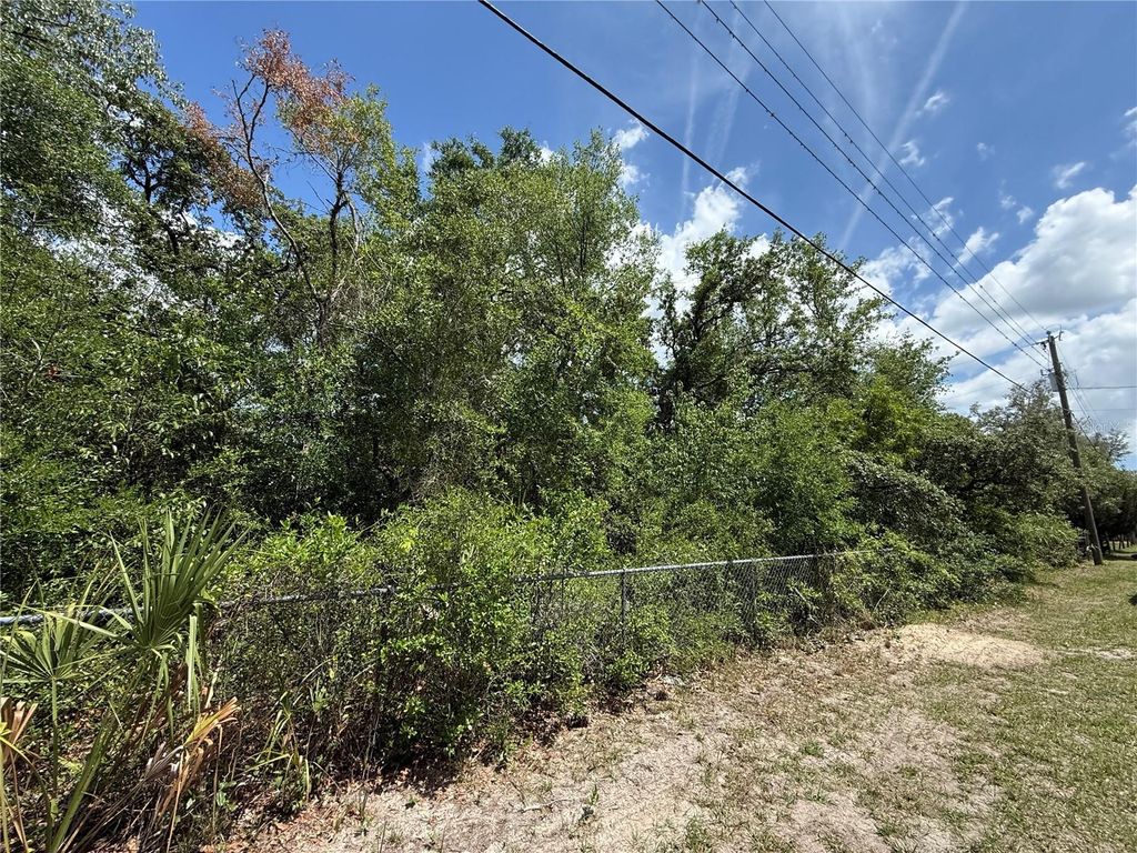 Photo of 11748 Turkey Lane, New Port Richey, FL 34654 (MLS # TB8514096)