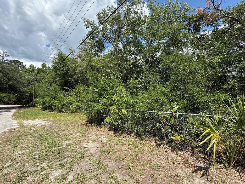 Photo of 11748 Turkey Lane, New Port Richey, FL 34654 (MLS # TB8514096)