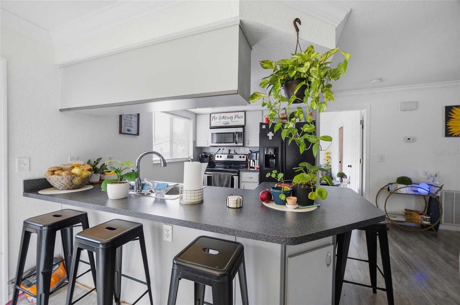 WEEKI WACHEE ACRES ADD - Residential