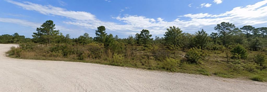Photo of Coral Rock Drive, Webster, FL 33597 (MLS # TB8527767)